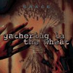 Grace - Gathering In The Wheat