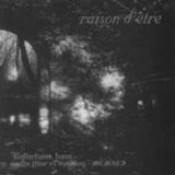 Raison d'être - Reflections from the Time of Opening