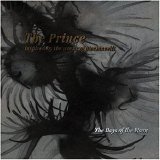 The Days Of The Moon - The prince