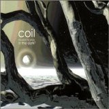 Coil - Musick To Play In The Dark (Vol. 2)