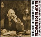 Beyond Sensory Experience - The Dull Routine of Existence