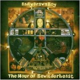 Badly Drawn Boy - The Hour Of Bewilderbeast