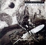 David Sylvian - Secrets of the Beehive