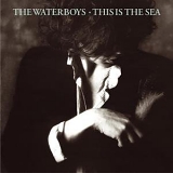 The Waterboys - This Is the Sea