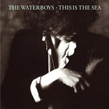 Waterboys - This Is The Sea (Remastered) (Disk 1)