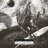 David Sylvian - Secrets of the Beehive