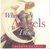 Medwyn Goodall - Where Angels Tread