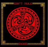 Gov't Mule - Dose