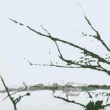 Tenhi - Vare