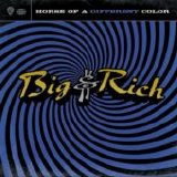Big & Rich - Horse Of A Different Color
