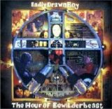Badly Drawn Boy - The Hour of Bewilderbeast