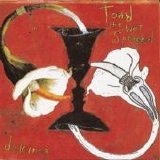 Toad the Wet Sprocket - Dulcinea