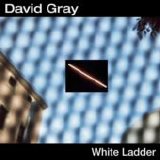 Gray, David - White Ladder