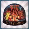 Wig - Wireland