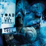 Toad the Wet Sprocket - Coil