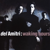 Del Amitri - Waking Hours