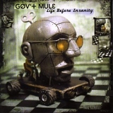 Gov't Mule - Life Before Insanity