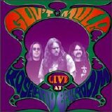Gov't Mule - Live at Roseland Ballroom (New Year's Eve, '95--'96)