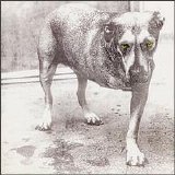 Alice In Chains - Alice in Chains