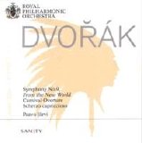 Royal Philharmonic Orchestra - Symphony no. 9 from the New world