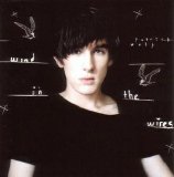 Patrick Wolf - Wind In The Wires