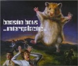 Beastie Boys - Intergalactic (Single)