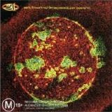311 - From Chaos