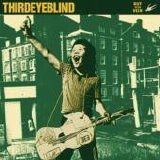 Third Eye Blind - Out of the Vein