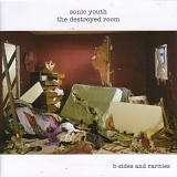 Sonic Youth - The Destroyed Room_ b-sides and rarities