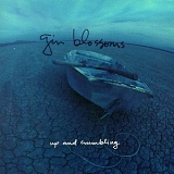 Gin Blossoms - Up & Crumbling