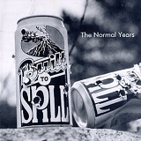 Built To Spill - The Normal Years