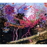 Animal Collective - Here Comes The Indian