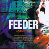 Feeder - Polythene