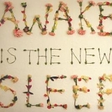 Ben Lee - Awake Is the New Sleep