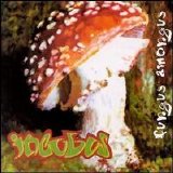 Incubus - Fungus Amongus