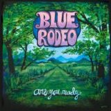 Blue Rodeo - Are You Ready