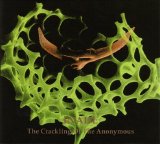 Inade - The Crackling Of The Anonymous