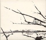 Tenhi - Vare