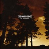 Iszoloscope - The Audient Void