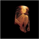 Alice In Chains - Nothing Safe - The Best of the Box