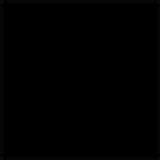 Prince - The Legendary Black Album