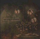 Kotiteollisuus - Kuolleen Kukan Nimi
