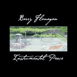 Barry Flanagan - Instrumental Peace