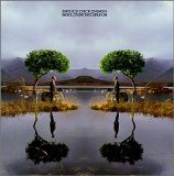 BRUCE DICKINSON - SKUNKWORKS