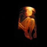 ALICE IN CHAINS - NOTHING SAFE