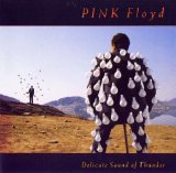 Pink Floyd - The Delicate Sound Of Thunder (Russian)