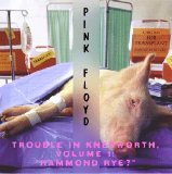 Pink Floyd - Trouble In Knebworth, Volume 1: "Hammond Rye?"
