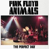 Pink Floyd - The Perfect Day