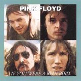 Pink Floyd - If You Were A Bluebird