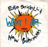 Edie Brickell And The New Bohemians - What I Am